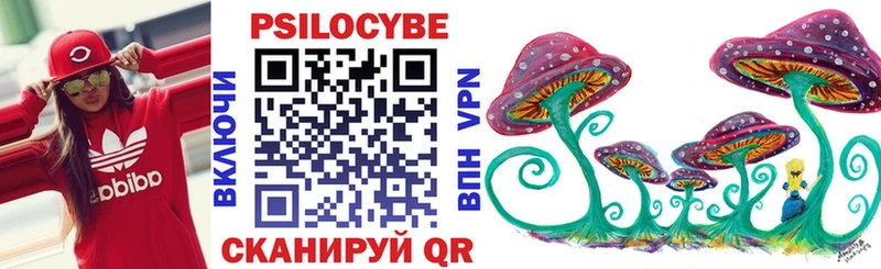 Псилоцибиновые грибы Cubensis  где купить   МЕГА онион  Высоцк 