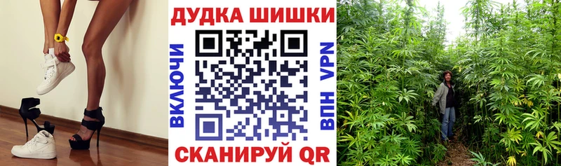 mega как зайти  Высоцк  Марихуана VHQ  где продают наркотики 